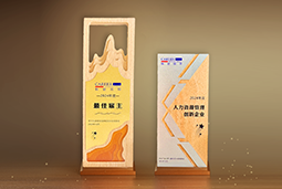 欧付宝欧付国际一举斩获“2024年度中国区最佳雇主”等多项大奖